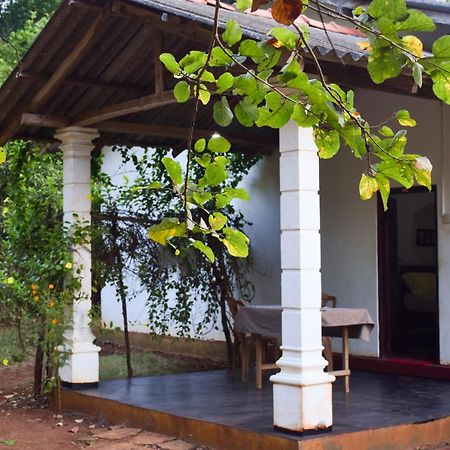 Senu Homestay Sigiriya Exteriör bild