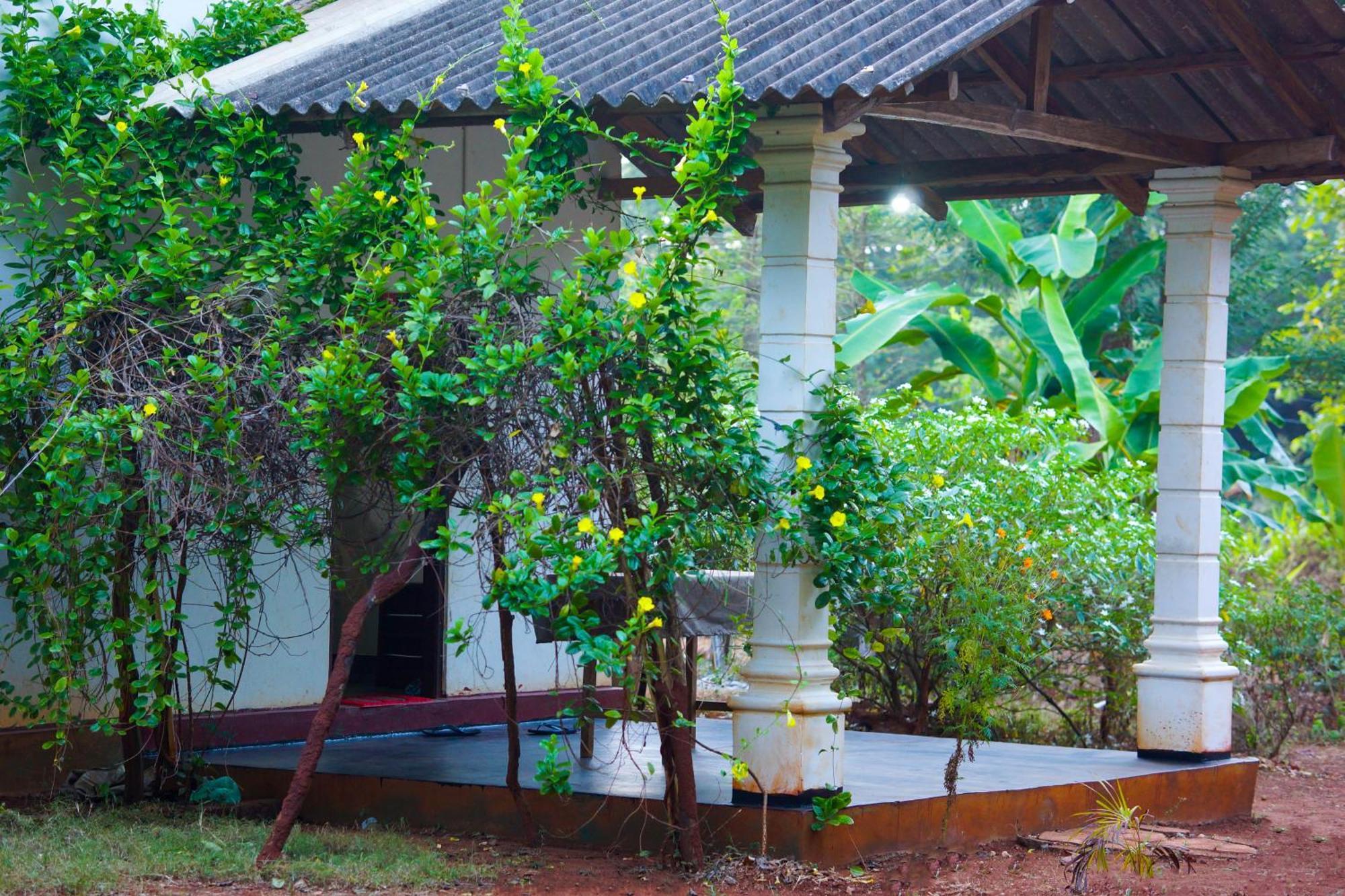 Senu Homestay Sigiriya Exteriör bild